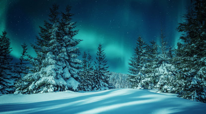Kuzey Işıkları & Lapland