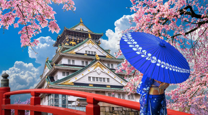 Baştan Başa Japonya